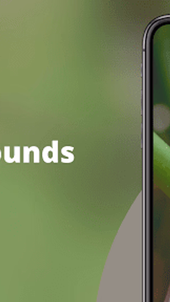 Red-whiskered Bulbul Sounds Screenshot 2 - AppWisp.com Red-whiskered Bulbul Sounds Screenshot 2 - AppWisp.com