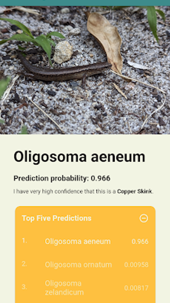 Aotearoa Species Classifier Screenshot 2 - AppWisp.com Aotearoa Species Classifier Screenshot 2 - AppWisp.com