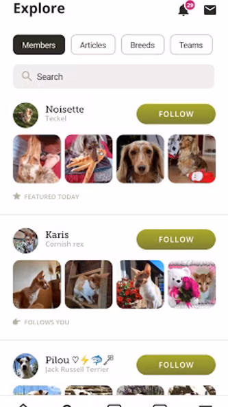 Yummypets - Dogs Cats Network Screenshot 3 - AppWisp.com Yummypets - Dogs Cats Network Screenshot 3 - AppWisp.com
