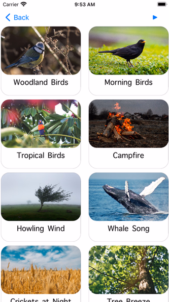 Calming Sounds Screenshot 2 - AppWisp.com Calming Sounds Screenshot 2 - AppWisp.com