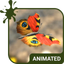 Butterfly Live Wallpaper Theme - AppWisp.com
