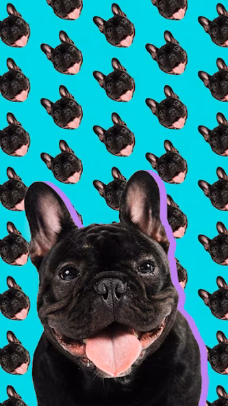Patternator: Wallpaper Editor Screenshot 2 - AppWisp.com Patternator: Wallpaper Editor Screenshot 2 - AppWisp.com