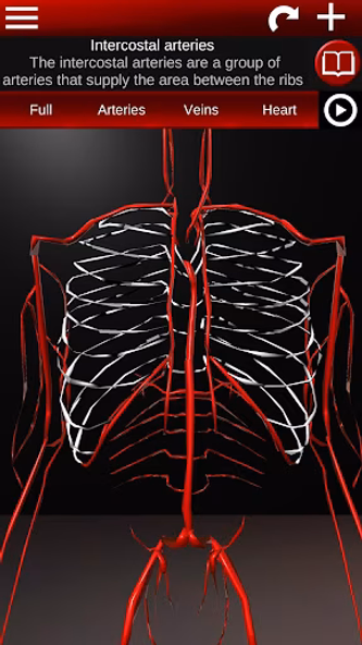 Circulatory System 3D Anatomy Screenshot 3 - AppWisp.com Circulatory System 3D Anatomy Screenshot 3 - AppWisp.com