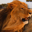 Angry Lion Wild Simulator - AppWisp.com