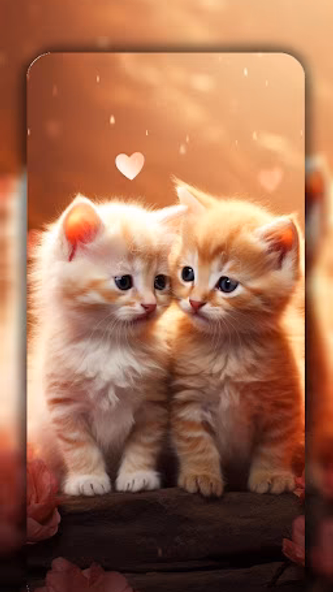Cute Cat Wallpaper Live HD 4K Screenshot 3 - AppWisp.com Cute Cat Wallpaper Live HD 4K Screenshot 3 - AppWisp.com