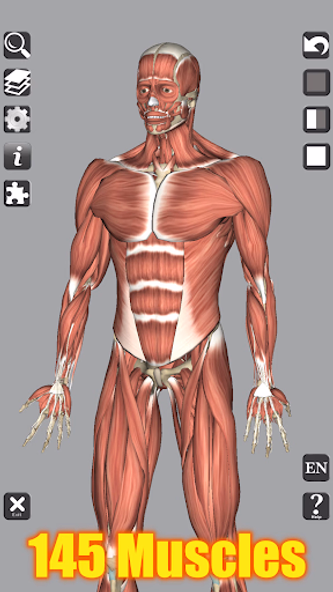 3D Bones and Organs (Anatomy) Screenshot 2 - AppWisp.com 3D Bones and Organs (Anatomy) Screenshot 2 - AppWisp.com