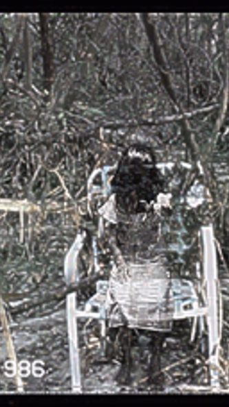 Haunted VHS - Retro Paranormal Ghost Camcorder Screenshot 2 - AppWisp.com Haunted VHS - Retro Paranormal Ghost Camcorder Screenshot 2 - AppWisp.com