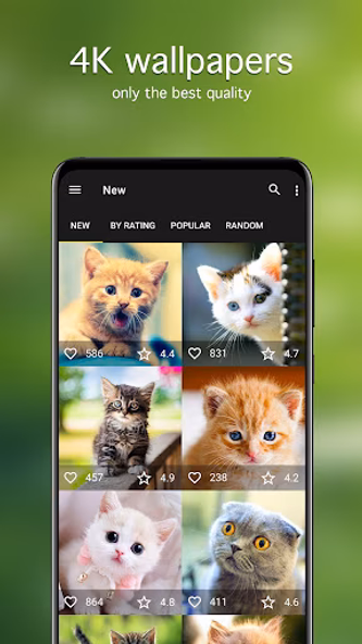 Cat Wallpapers & Cute Kittens Screenshot 2 - AppWisp.com Cat Wallpapers & Cute Kittens Screenshot 2 - AppWisp.com