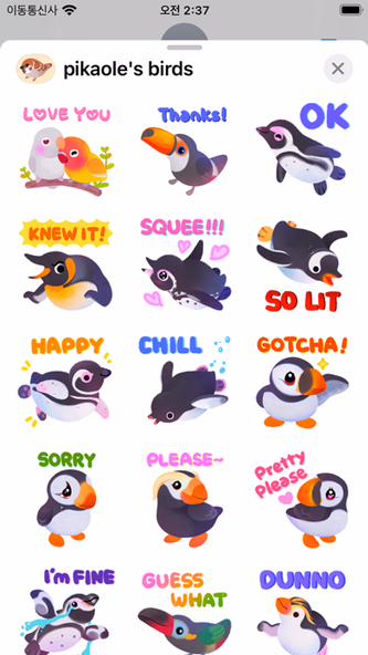 pikaole's birds Screenshot 1 - AppWisp.com pikaole's birds Screenshot 1 - AppWisp.com