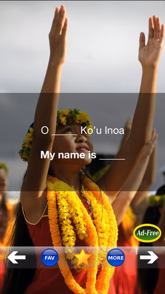 Hawaiian Words & Phrases! Hawaii Dictionary and Casual Language Translation Guide Screenshot 1 - AppWisp.com
