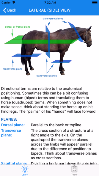 Equine Anatomy Learning Aid Screenshot 3 - AppWisp.com Equine Anatomy Learning Aid Screenshot 3 - AppWisp.com