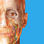 Human Anatomy Atlas 2025 - AppWisp.com