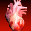 Circulatory System 3D Anatomy - AppWisp.com