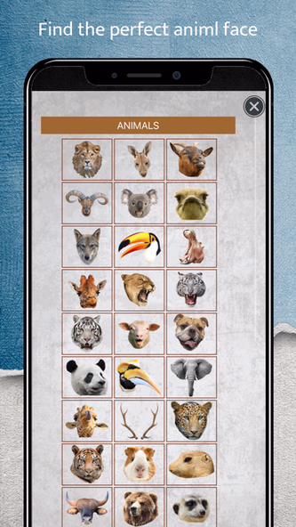 Animal Face Camera Screenshot 4 - AppWisp.com Animal Face Camera Screenshot 4 - AppWisp.com