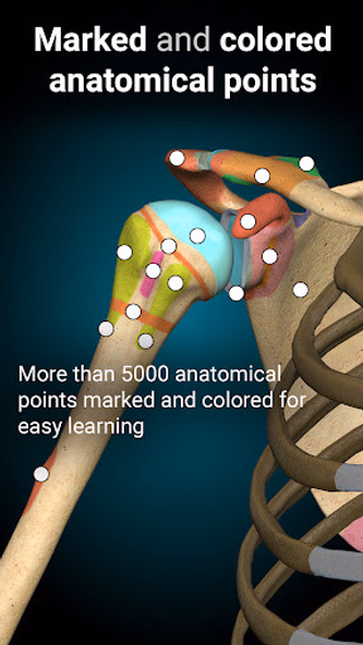Anatomy Learning - 3D Anatomy Screenshot 3 - AppWisp.com Anatomy Learning - 3D Anatomy Screenshot 3 - AppWisp.com