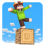 One Block Map for Minecraft - AppWisp.com