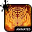 Fire Tiger Keyboard Wallpaper - AppWisp.com