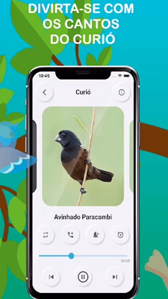 Bullfinch bird singing Screenshot 2 - AppWisp.com Bullfinch bird singing Screenshot 2 - AppWisp.com