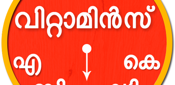 All Vitamin Content Foods list Header - AppWisp.com All Vitamin Content Foods list Header - AppWisp.com