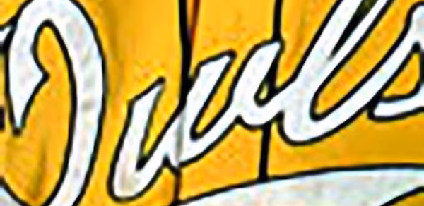 Owls Who Live Sports Header - AppWisp.com Owls Who Live Sports Header - AppWisp.com