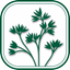 Kansas Plants - AppWisp.com