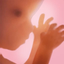 Pregnancy + | Tracker App - AppWisp.com