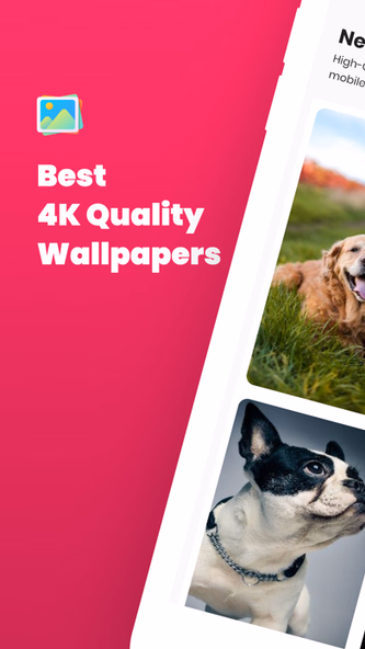 Dog Wallpaper and Backgrounds Screenshot 1 - AppWisp.com Dog Wallpaper and Backgrounds Screenshot 1 - AppWisp.com