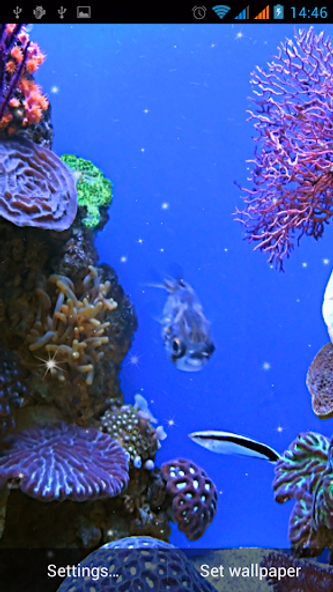 Aquarium Live Wallpaper Screenshot 4 - AppWisp.com Aquarium Live Wallpaper Screenshot 4 - AppWisp.com