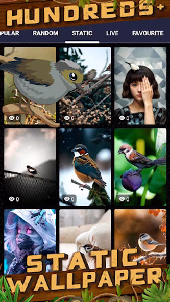 sparrow wallpaper Screenshot 4 - AppWisp.com sparrow wallpaper Screenshot 4 - AppWisp.com