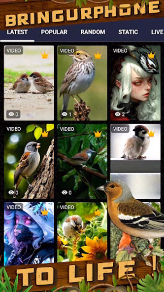 sparrow wallpaper Screenshot 2 - AppWisp.com sparrow wallpaper Screenshot 2 - AppWisp.com