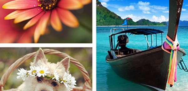 Photo Collage Editor Header - AppWisp.com Photo Collage Editor Header - AppWisp.com