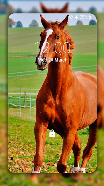 Horse Wallpaper HD: Themes Screenshot 3 - AppWisp.com Horse Wallpaper HD: Themes Screenshot 3 - AppWisp.com