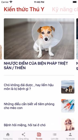 vPET - Thú Cưng Online Screenshot 3 - AppWisp.com vPET - Thú Cưng Online Screenshot 3 - AppWisp.com