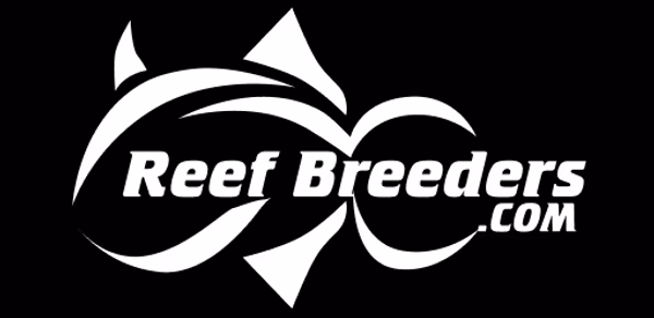Reef Nexus Header - AppWisp.com Reef Nexus Header - AppWisp.com