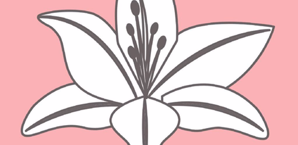 Lilyanna & Co. Boutique Header - AppWisp.com Lilyanna & Co. Boutique Header - AppWisp.com
