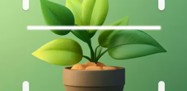 Bloomify - Plant Identifier Header - AppWisp.com Bloomify - Plant Identifier Header - AppWisp.com