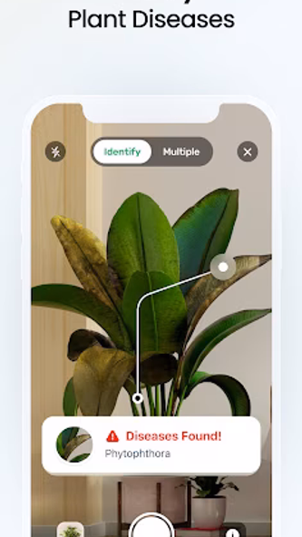 Plant App - Plant Identifier Screenshot 3 - AppWisp.com Plant App - Plant Identifier Screenshot 3 - AppWisp.com