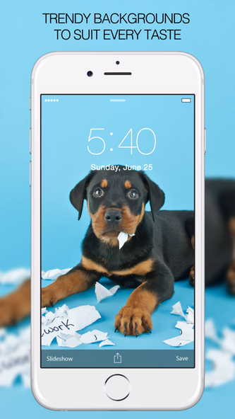Puppy Wallpapers – Cute Puppy Pictures & Images Screenshot 4 - AppWisp.com Puppy Wallpapers – Cute Puppy Pictures & Images Screenshot 4 - AppWisp.com