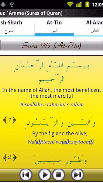 Audio Pack (Al-Ghamidi) Screenshot 2 - AppWisp.com Audio Pack (Al-Ghamidi) Screenshot 2 - AppWisp.com