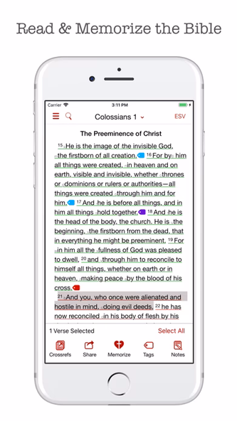 The Bible Memory Bible Screenshot 2 - AppWisp.com The Bible Memory Bible Screenshot 2 - AppWisp.com