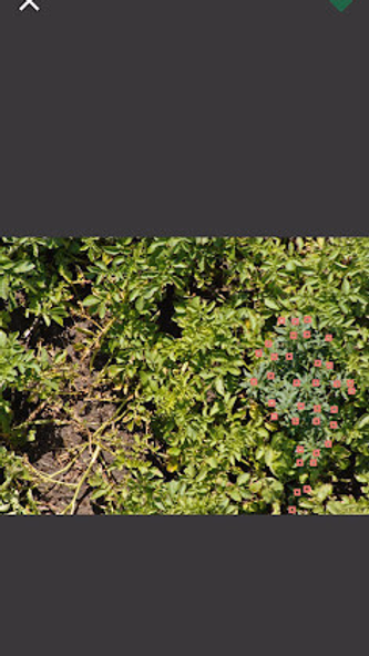 Taranis mobile Screenshot 3 - AppWisp.com Taranis mobile Screenshot 3 - AppWisp.com
