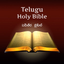 Telugu Bible Indian Version - AppWisp.com