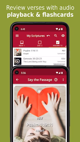Remember Me. Bible Memory Joy Screenshot 1 - AppWisp.com Remember Me. Bible Memory Joy Screenshot 1 - AppWisp.com