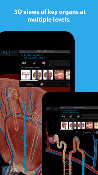 Human Anatomy Atlas 2025 Screenshot 2 - AppWisp.com Human Anatomy Atlas 2025 Screenshot 2 - AppWisp.com