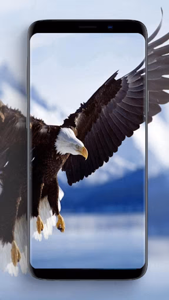 Eagle Wallpapers Screenshot 4 - AppWisp.com Eagle Wallpapers Screenshot 4 - AppWisp.com