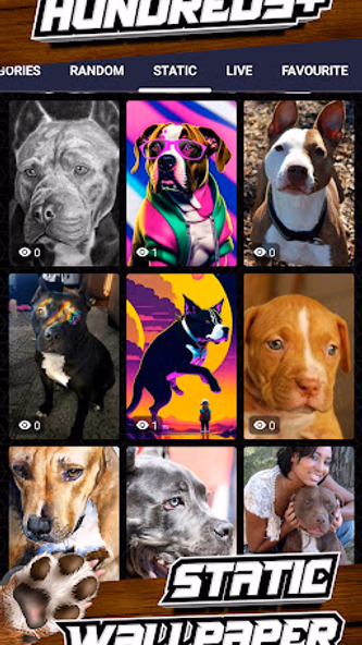 pitbull dog wallpaper Screenshot 4 - AppWisp.com pitbull dog wallpaper Screenshot 4 - AppWisp.com
