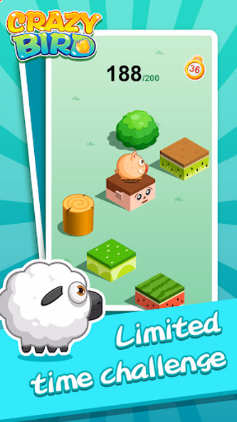Crazy Bird Screenshot 2 - AppWisp.com Crazy Bird Screenshot 2 - AppWisp.com