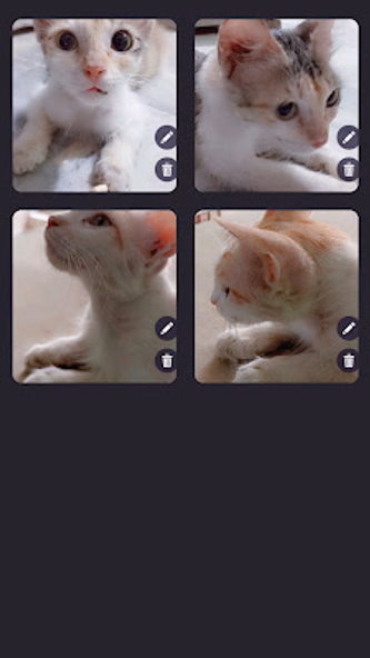 VM Editor / Slideshow Maker Screenshot 4 - AppWisp.com