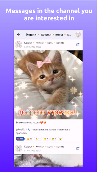 TG Reader – Telegram feed Screenshot 3 - AppWisp.com TG Reader – Telegram feed Screenshot 3 - AppWisp.com
