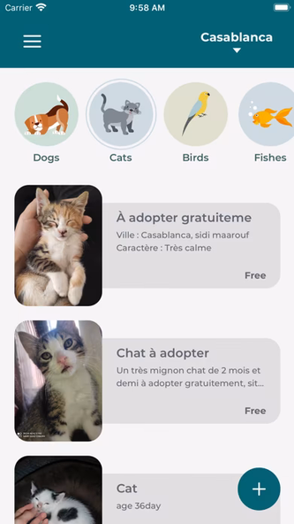 Happy Pet: Adoption Coupling Screenshot 2 - AppWisp.com Happy Pet: Adoption Coupling Screenshot 2 - AppWisp.com